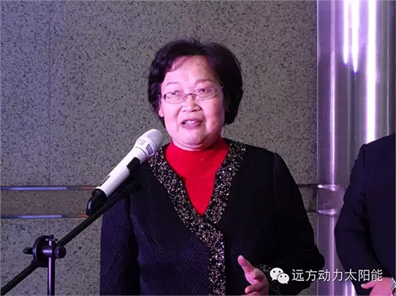 中國資產評估協會會長、中國清潔發展機制基金戰略發展委員會前主席賀邦靖