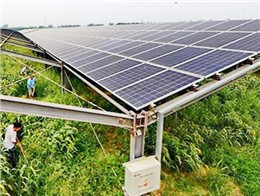 光伏農業大棚電站